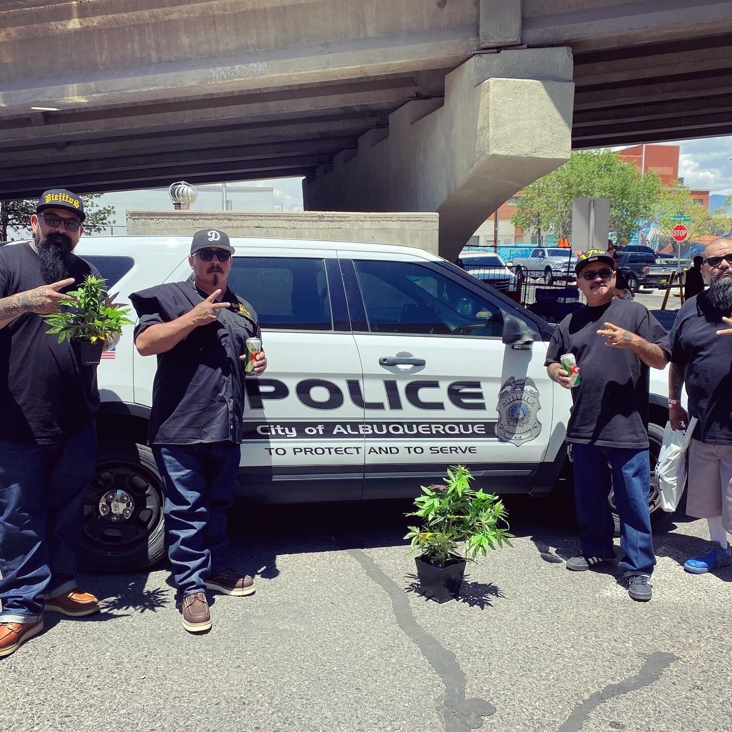 A Silent Protest: How a Faux Cannabis Plant Can Make a Statement
